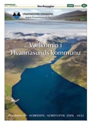 Síða 53