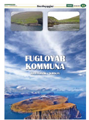 Síða 55