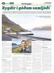 Síða 56