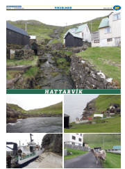 Síða 59