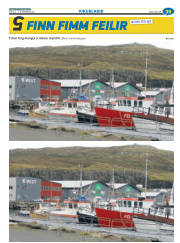 Síða 71