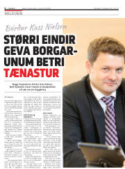 Síða 8