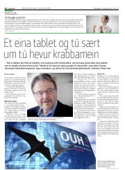 Síða 12
