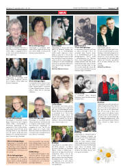 Síða 15