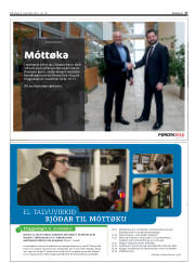 Síða 17