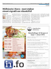 Síða 25