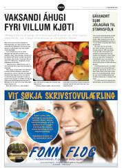 Síða 38