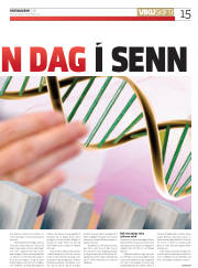 Síða 15