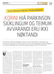 Síða 17