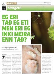 Síða 20