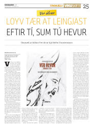 Síða 25