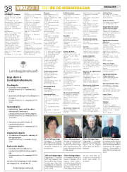 Síða 38