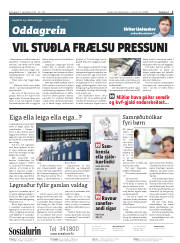 Síða 2