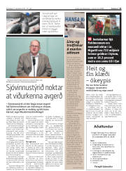 Síða 11