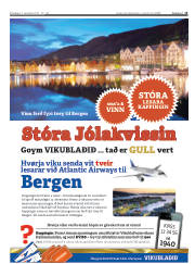 Síða 15