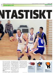 Síða 21