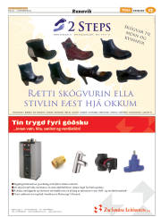 Síða 13