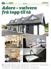 Síða 18