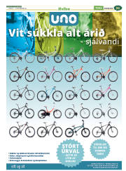 Síða 21