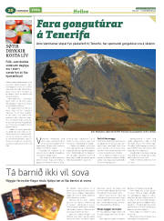 Síða 28