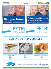Síða 29