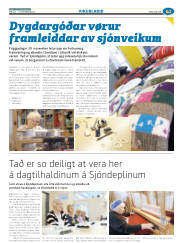 Síða 41