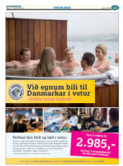 Síða 43