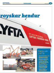 Síða 45