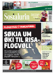 Síða 1