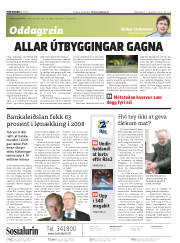 Síða 2
