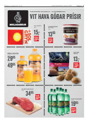 Síða 3