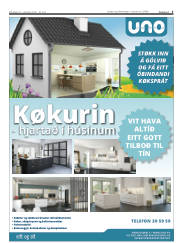 Síða 5
