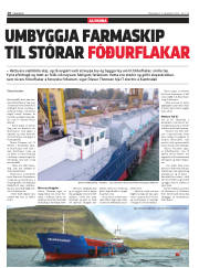 Síða 10