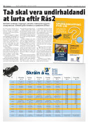 Síða 12