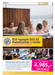 Síða 3