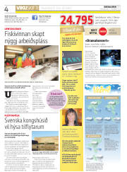 Síða 4