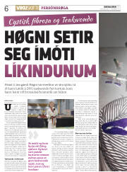 Síða 6