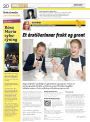 Síða 20