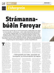 Síða 28