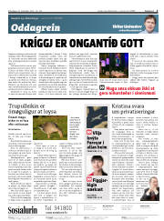 Síða 2