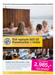 Síða 3