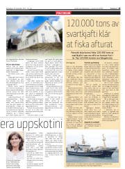 Síða 15