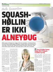 Síða 28