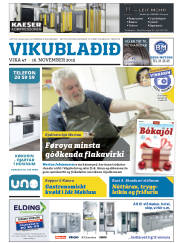Síða 33