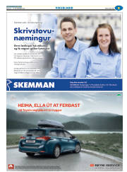 Síða 41