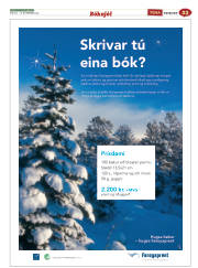 Síða 55