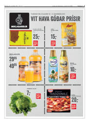 Síða 3