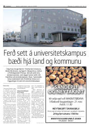 Síða 20