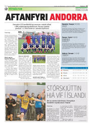 Síða 31