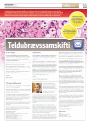Síða 11